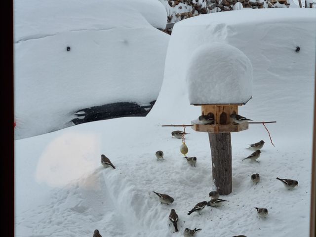 Ferienwohnungen Berg Sait