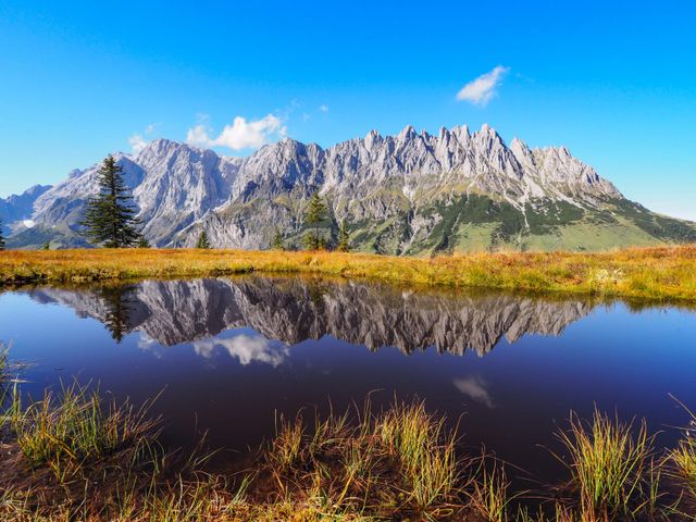 Ferienwohnungen Berg Sait